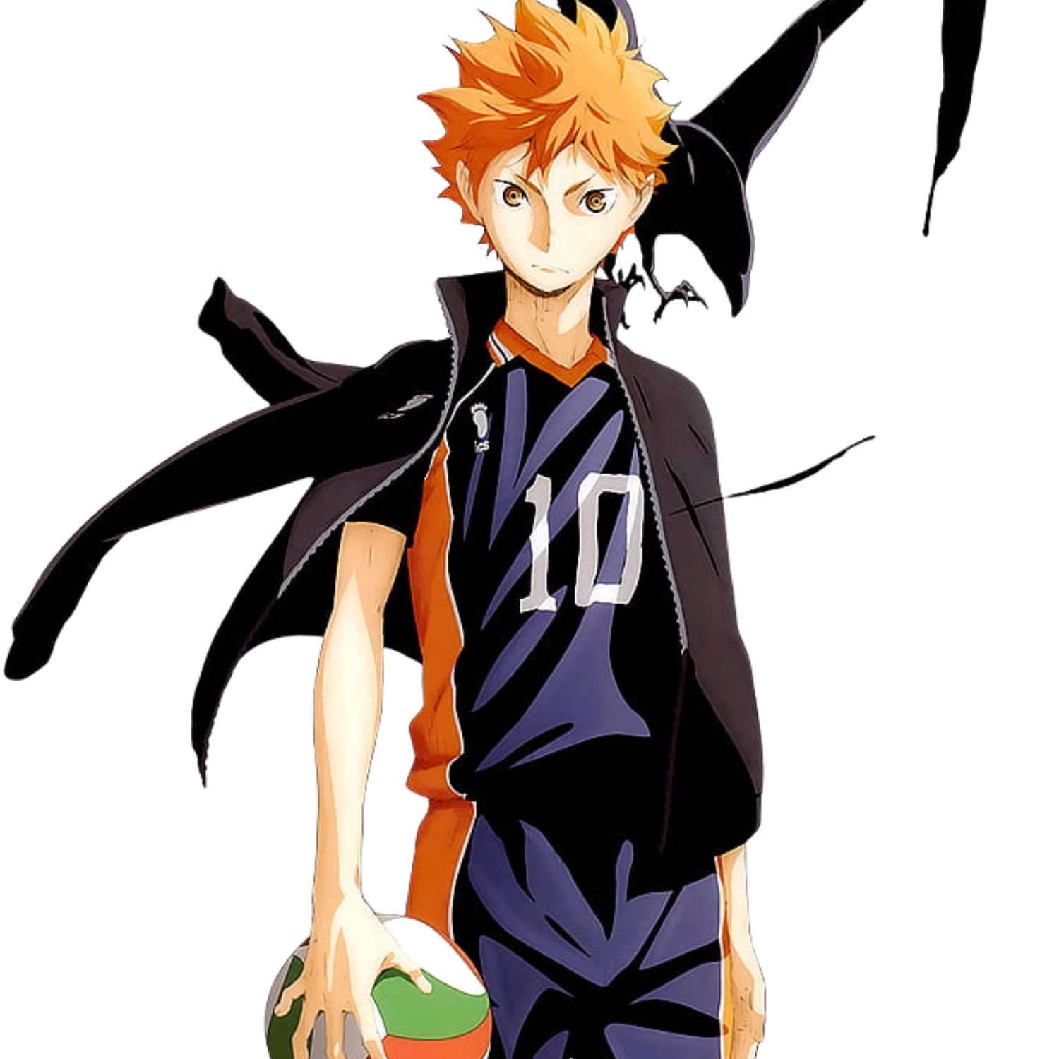 Haikyuu UK Shop hinata Logo - Haikyuu UK Shop